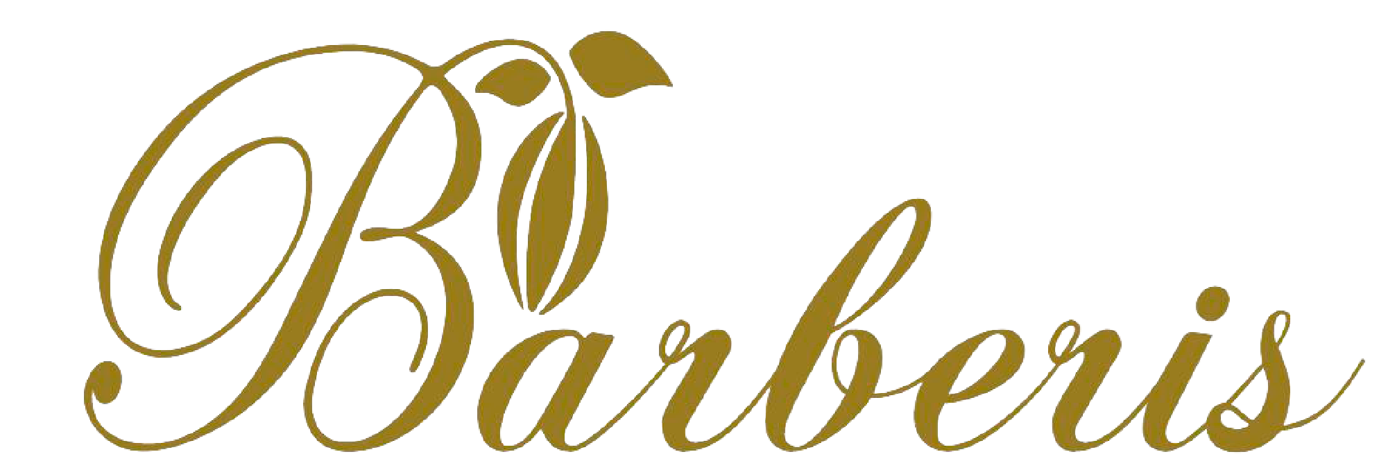 Chocolates Barberis
